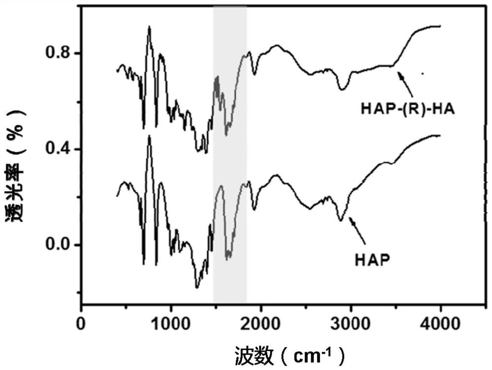 Nano-calcium carrier delivery system for targeting and activating CD44 molecules, its preparation method and use