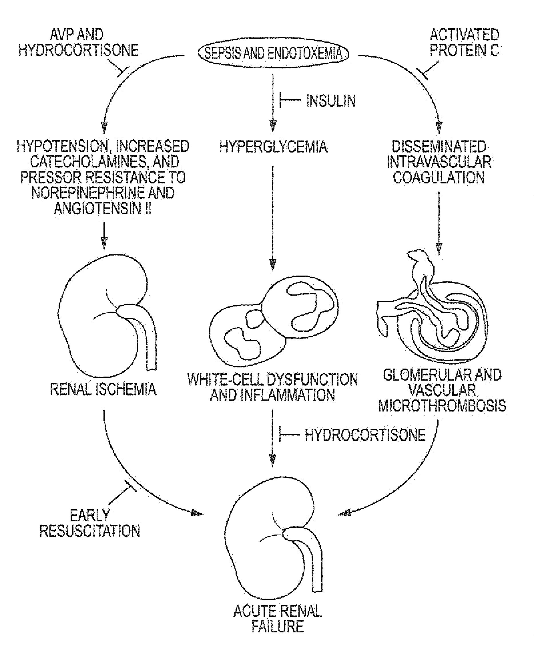 Treatment systems and methods for renal-related diseases