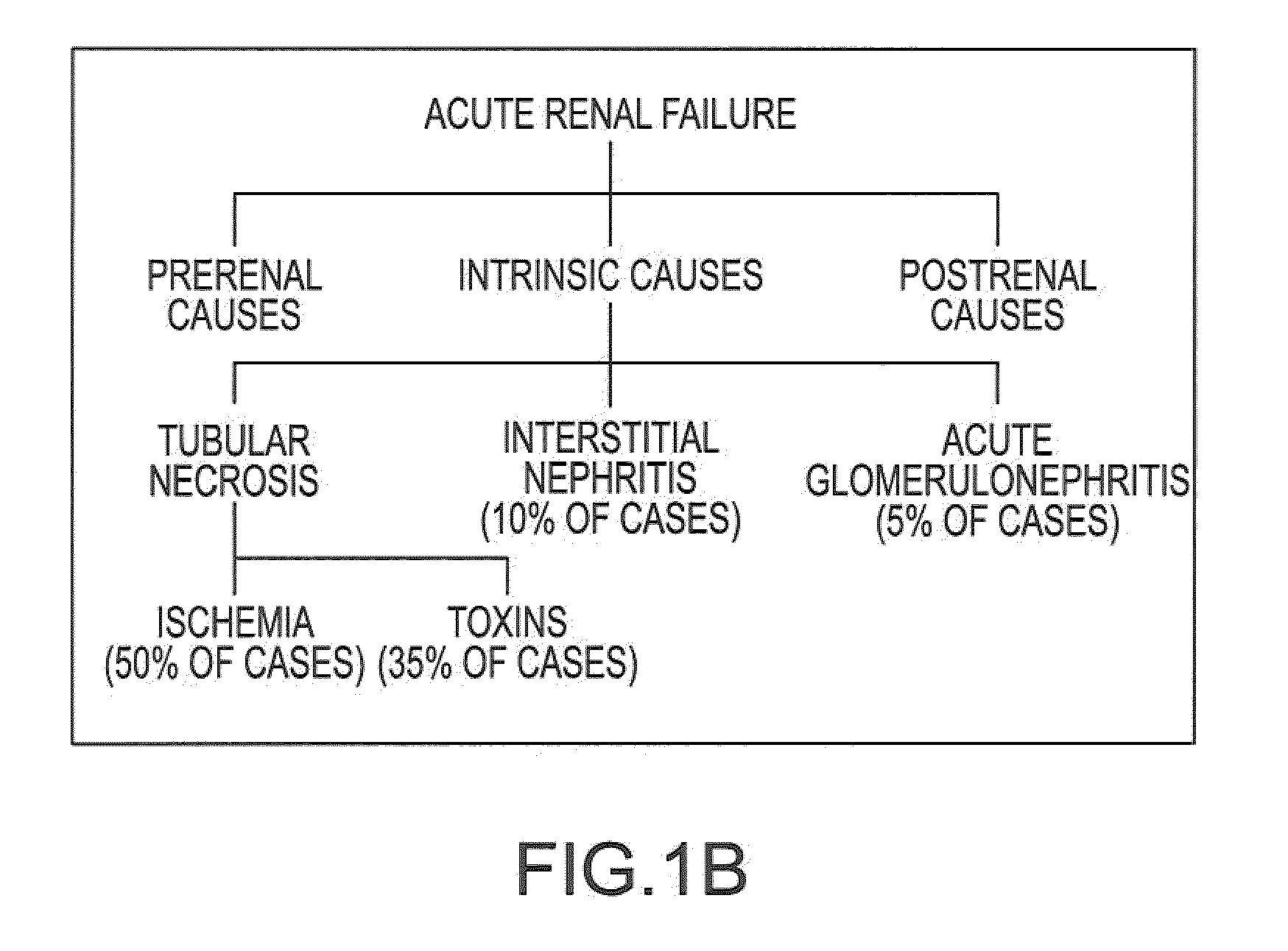 Treatment systems and methods for renal-related diseases