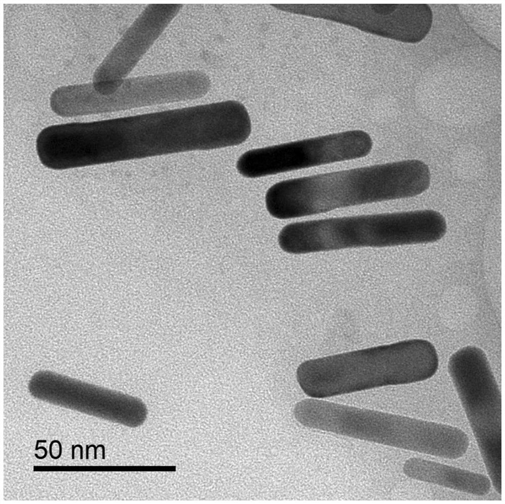 A kind of APD hybrid nano system and its construction method and application