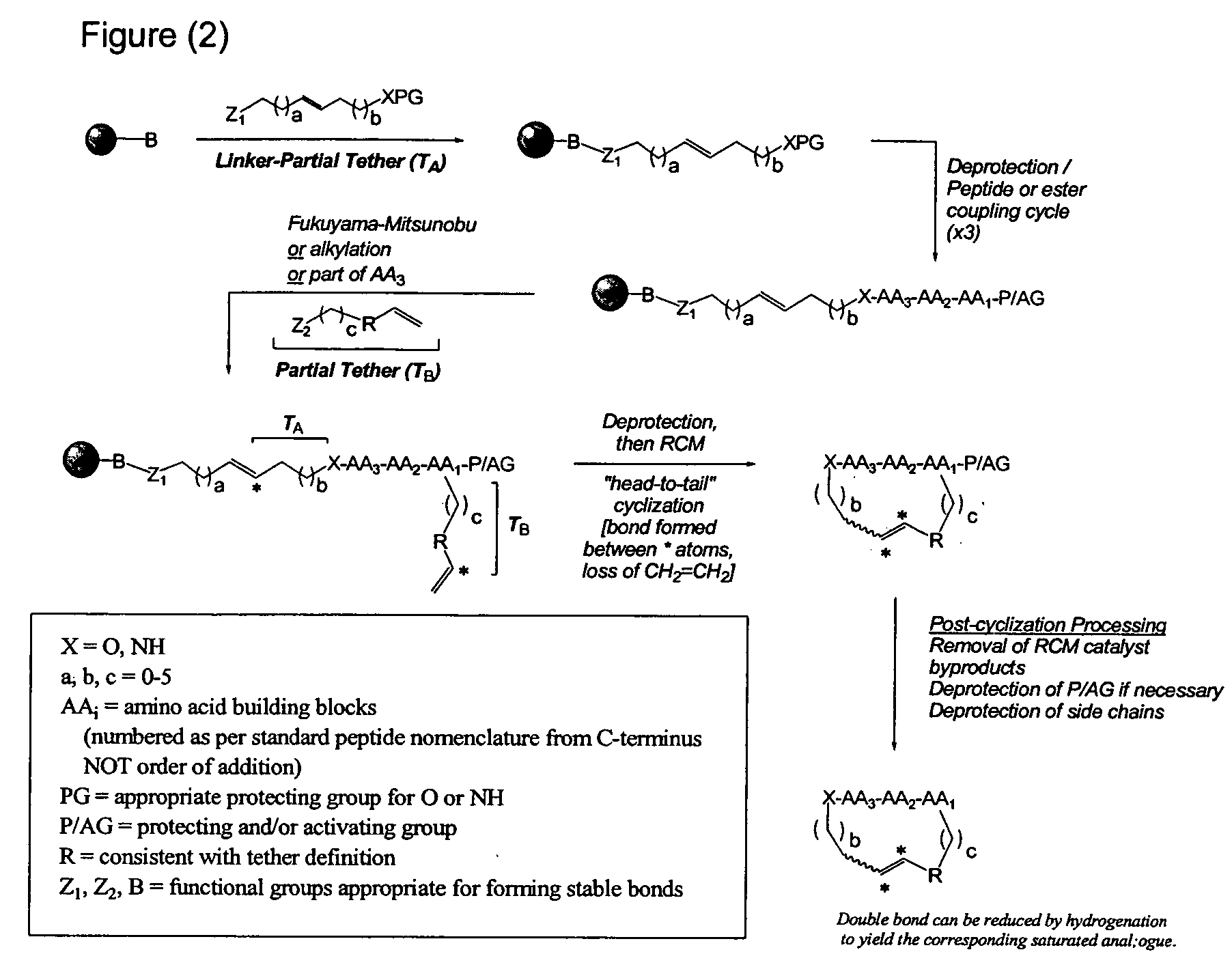 Spatially-defined macrocyclic compounds useful for drug discovery