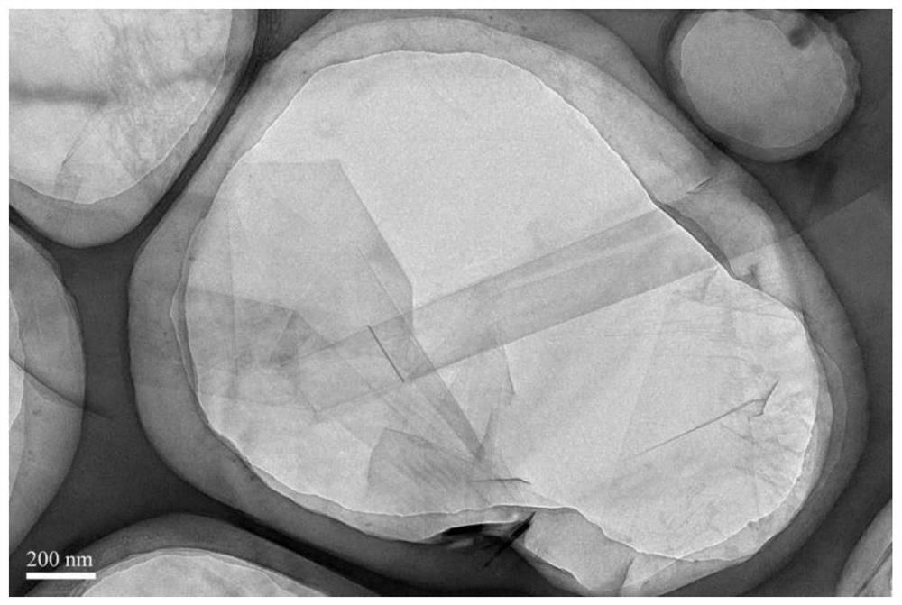 A kind of preparation method of graphene/silver nanowire composite airgel