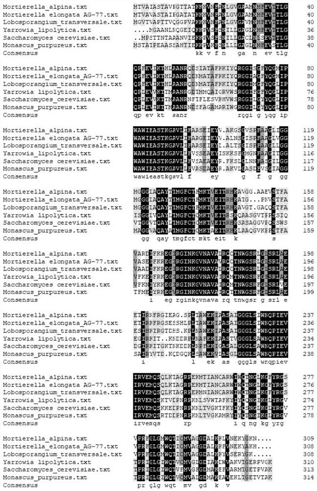 A citrate transporter and its application in lipid synthesis