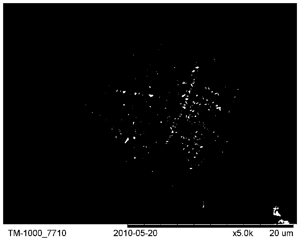 Modified hollow microsphere and application thereof