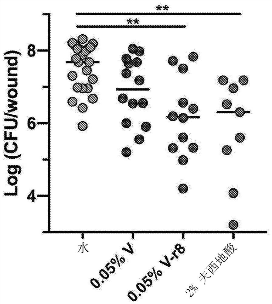 Composition and method for new antimicrobial agents with secondary mode of action