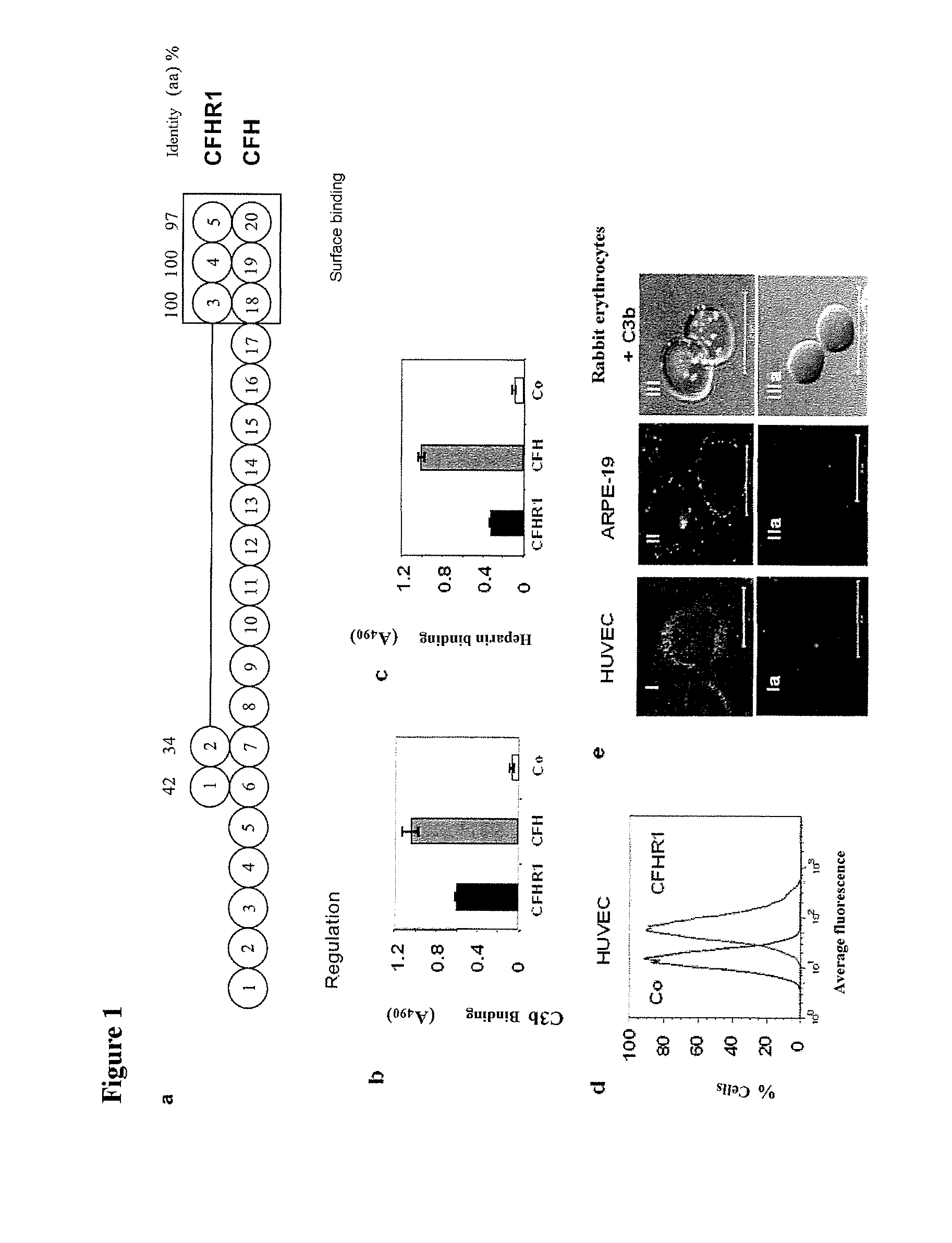 Novel Regulators of the Innate Immune System