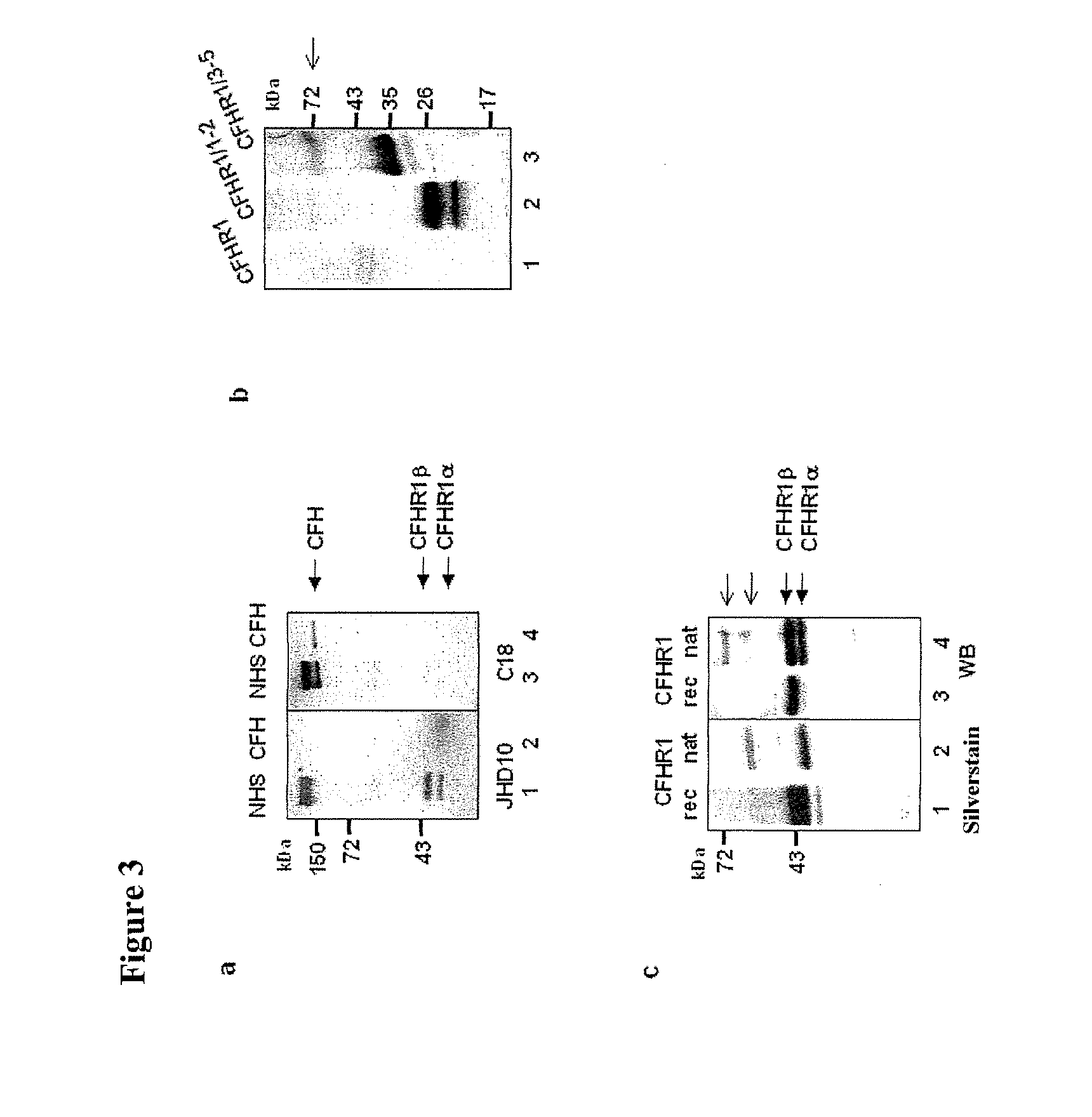 Novel Regulators of the Innate Immune System