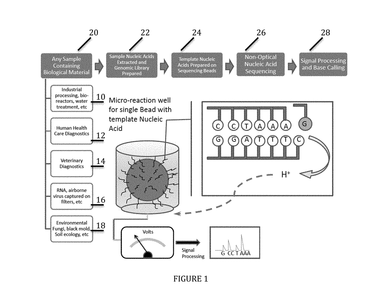 Universal or Broad Range Assays and Multi-Tag Sample Specific Diagnostic Process Using Non-Optical Sequencing