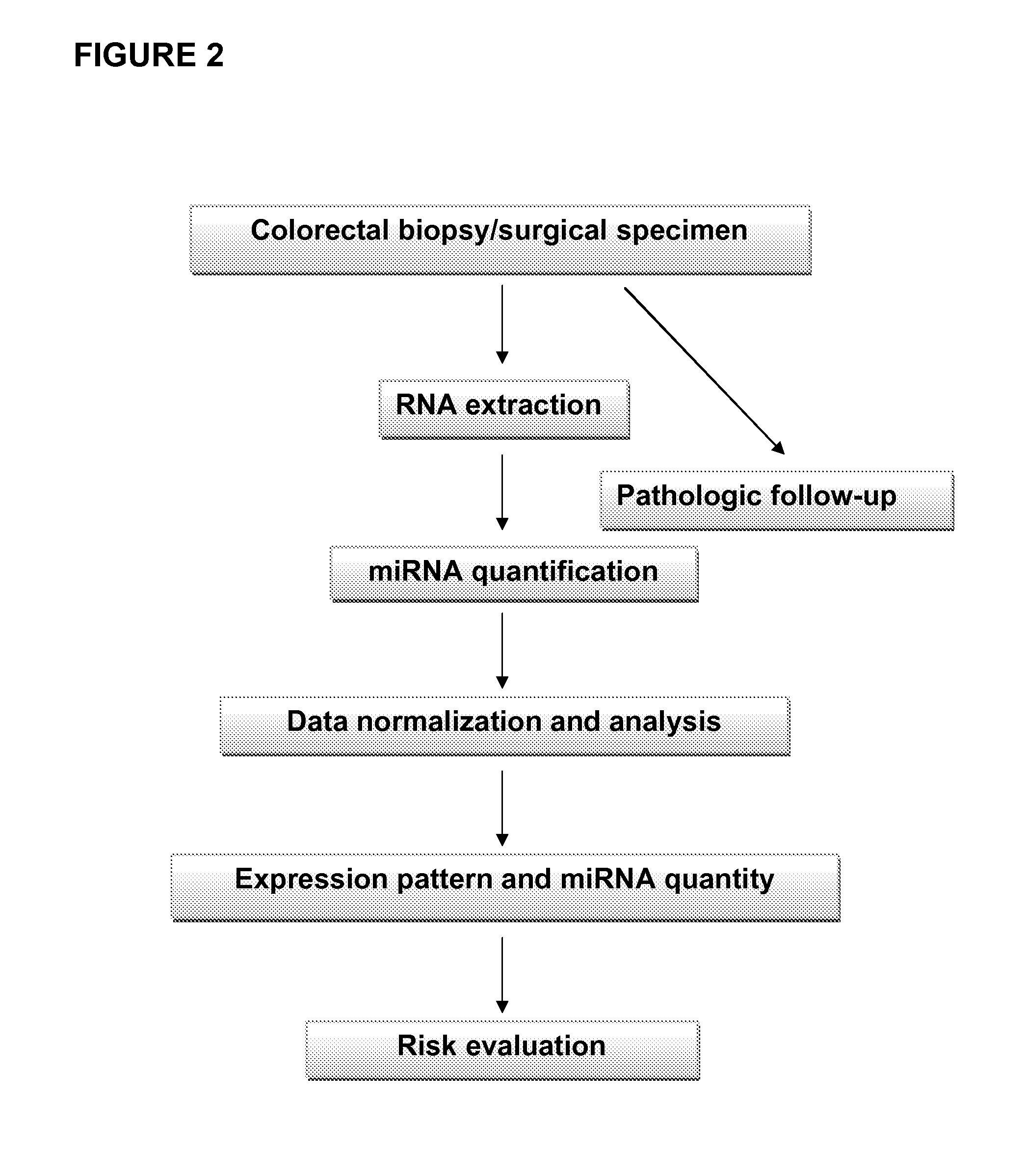 Compositions and methods for micro-rna expression profiling of colorectal cancer