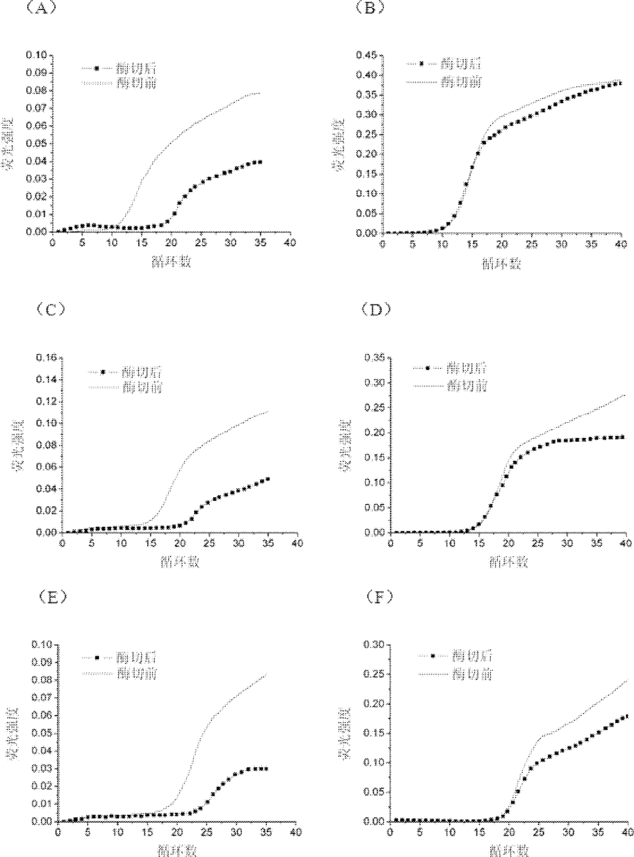 Method for eliminating PCR amplification product pollution based on IIs type restriction endonuclease