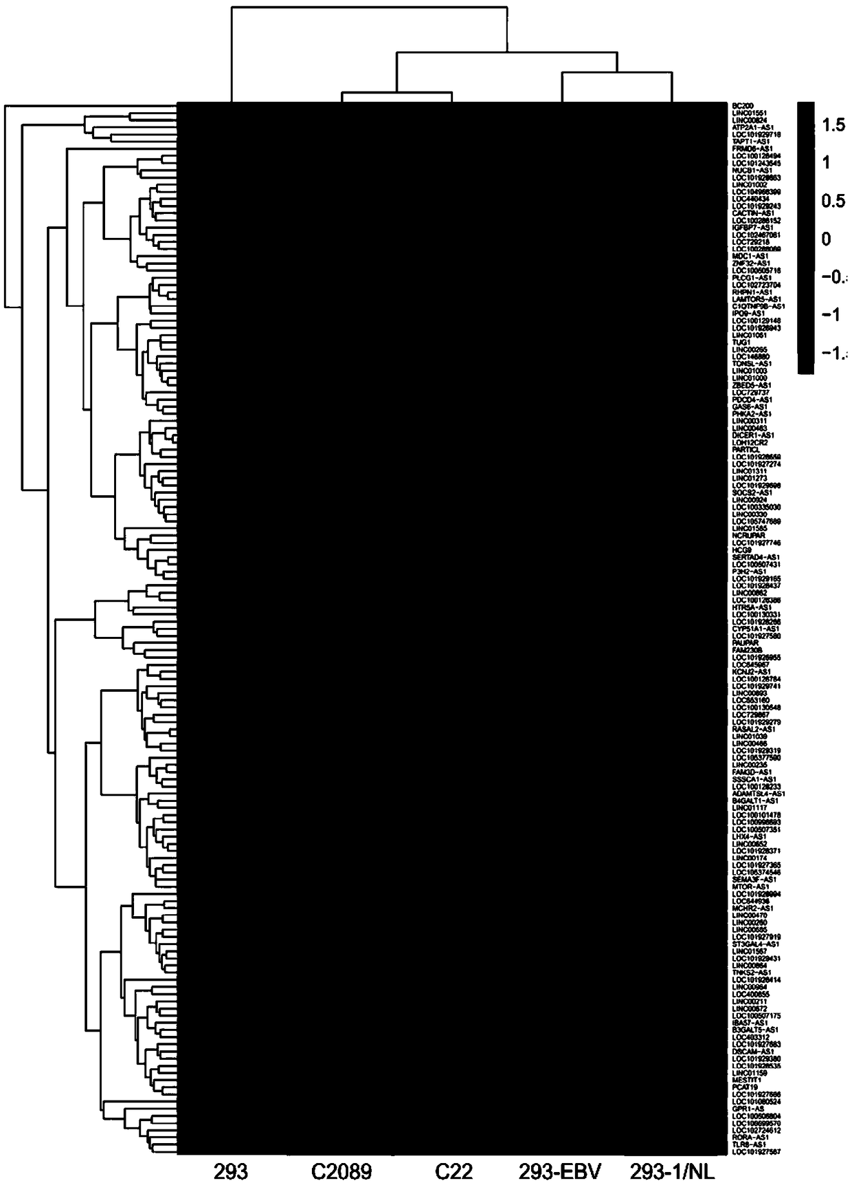 Preparation for detecting long chain noncoding RNA BC200 and application method of preparation