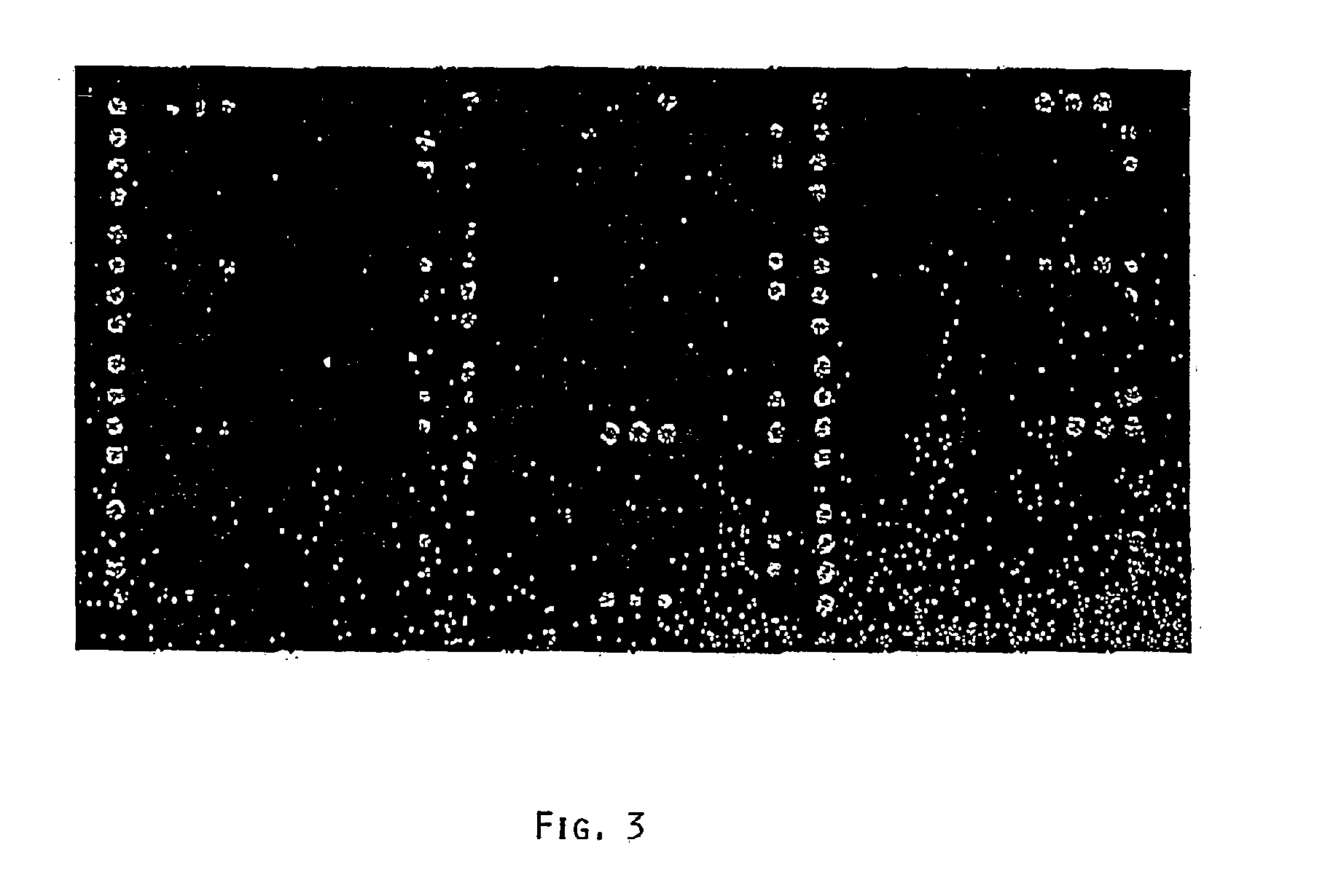 Methods and Compositions For Detecting Nucleic Acid Molecules