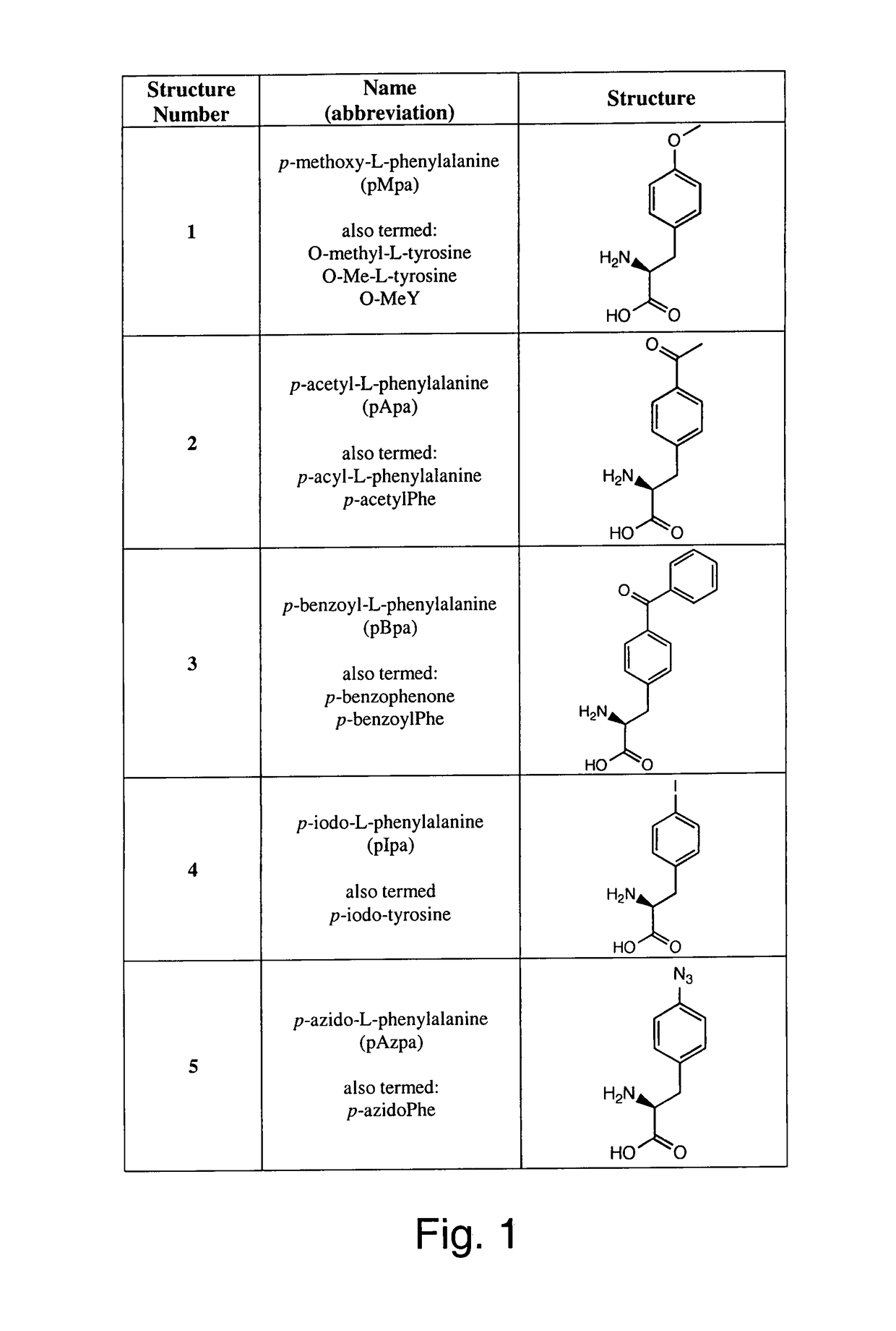 Genetic incorporation of unnatural amino acids into proteins in mammalian cells