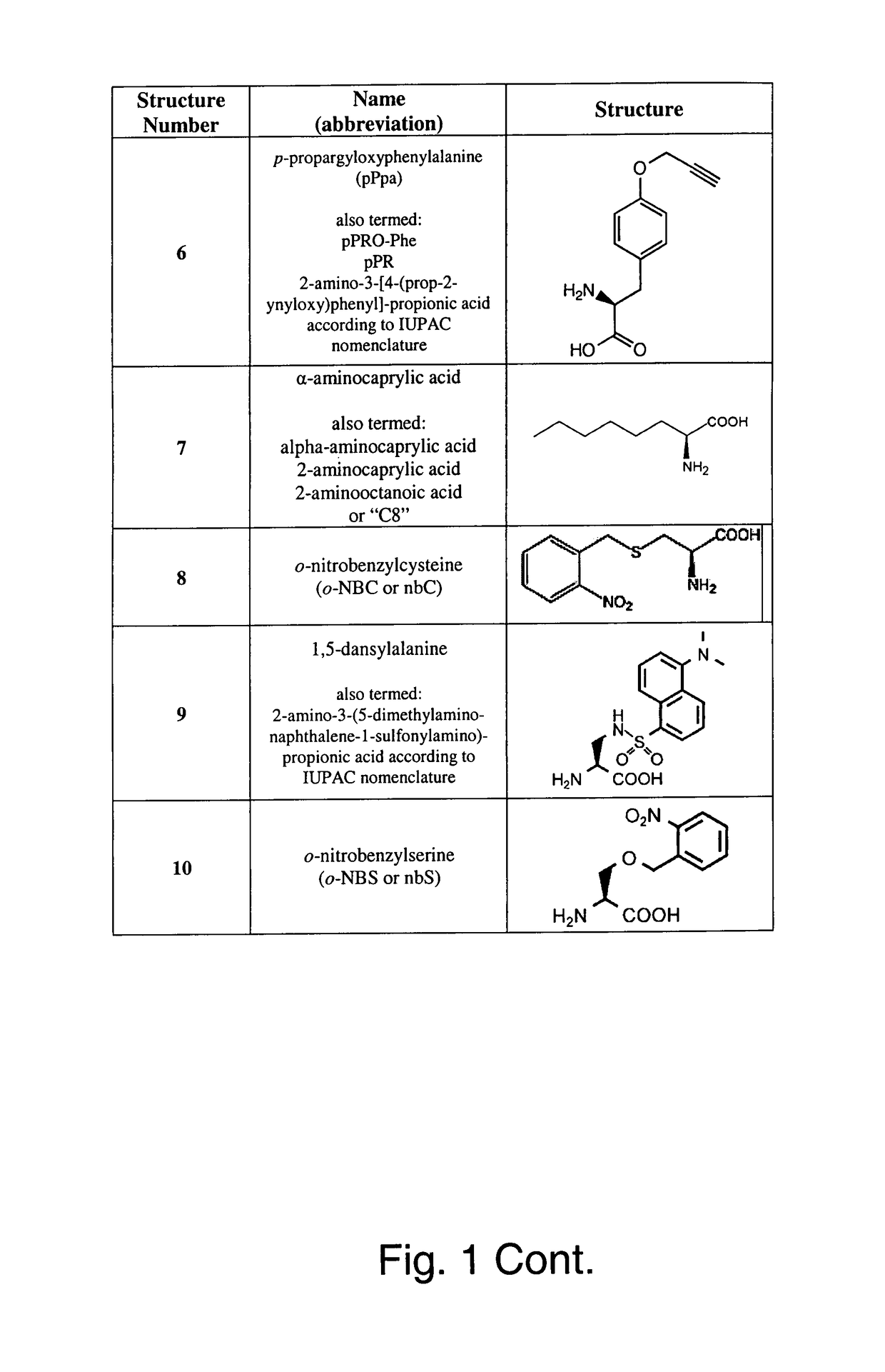 Genetic incorporation of unnatural amino acids into proteins in mammalian cells