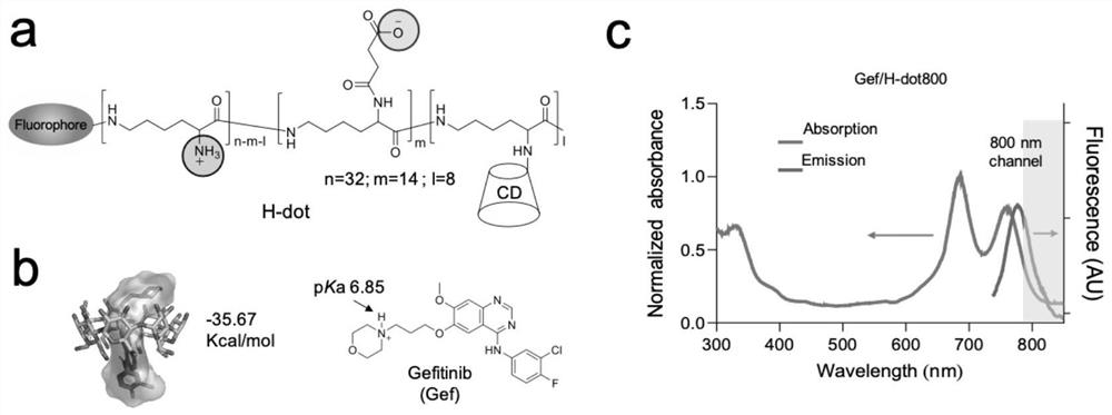 Ultrasmall molecule H-dot nano drug delivery system-based lung cancer diagnosis and treatment integrated targeting nano drug and preparation method thereof