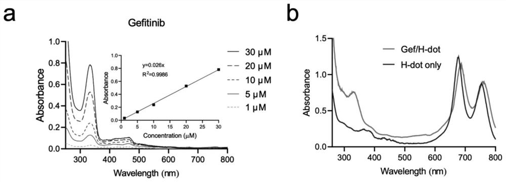 Ultrasmall molecule H-dot nano drug delivery system-based lung cancer diagnosis and treatment integrated targeting nano drug and preparation method thereof