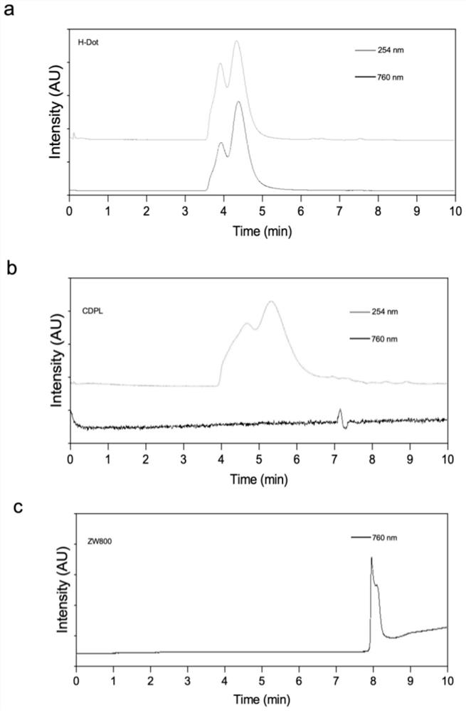 Ultrasmall molecule H-dot nano drug delivery system-based lung cancer diagnosis and treatment integrated targeting nano drug and preparation method thereof