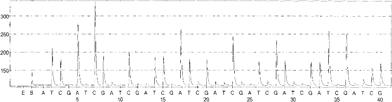 Hepatitis C sequencing and typing kit and detection method thereof