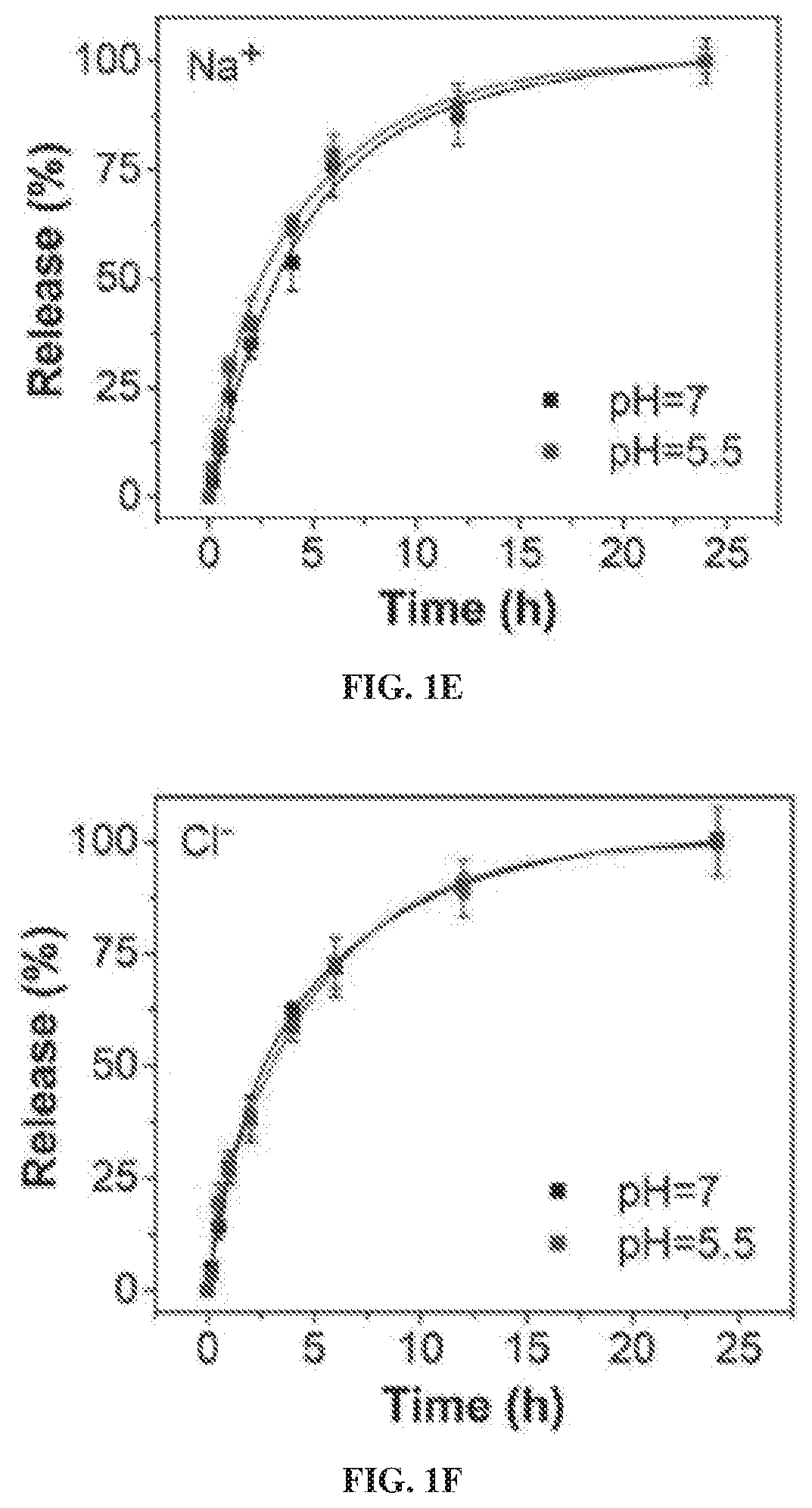 Salt nanoparticles and compositions and methods of use thereof