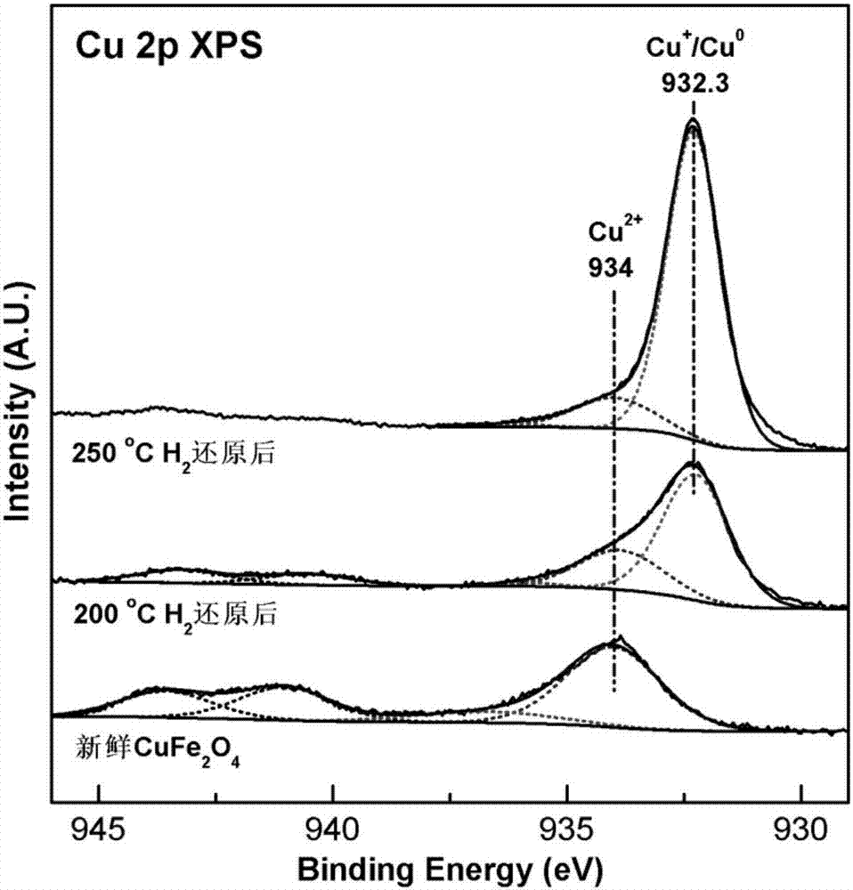 Visible light catalyst containing copper oxide and application thereof