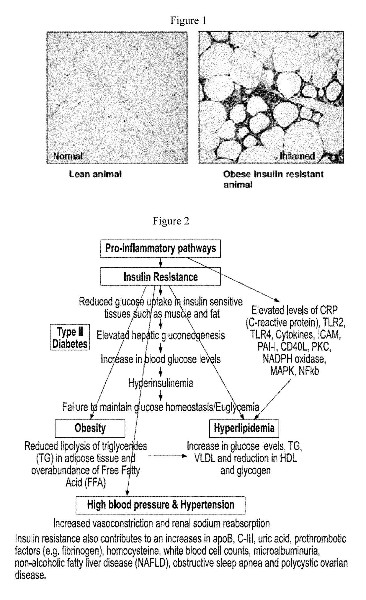 Formulations and methods for treatment of metabolic syndrome