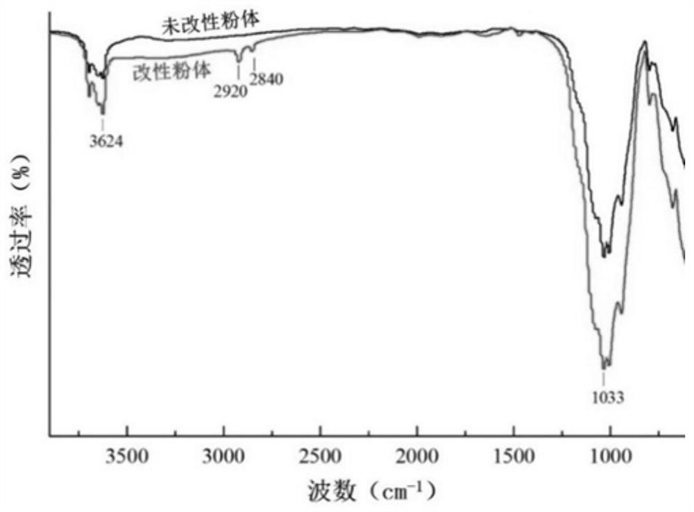 Surface non-polar modification method of sepiolite mineral powder and application of sepiolite mineral powder in plastic or rubber filler