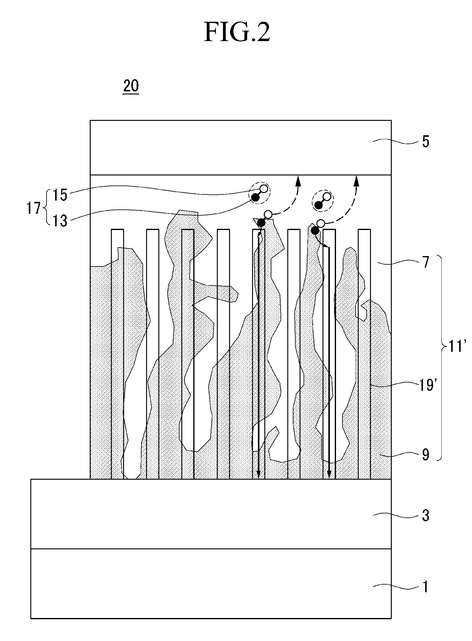 Organic solar cell and method of fabricating the same