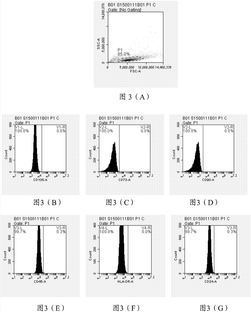 Composition and application thereof, placenta preservative and preparation method of placenta preservative