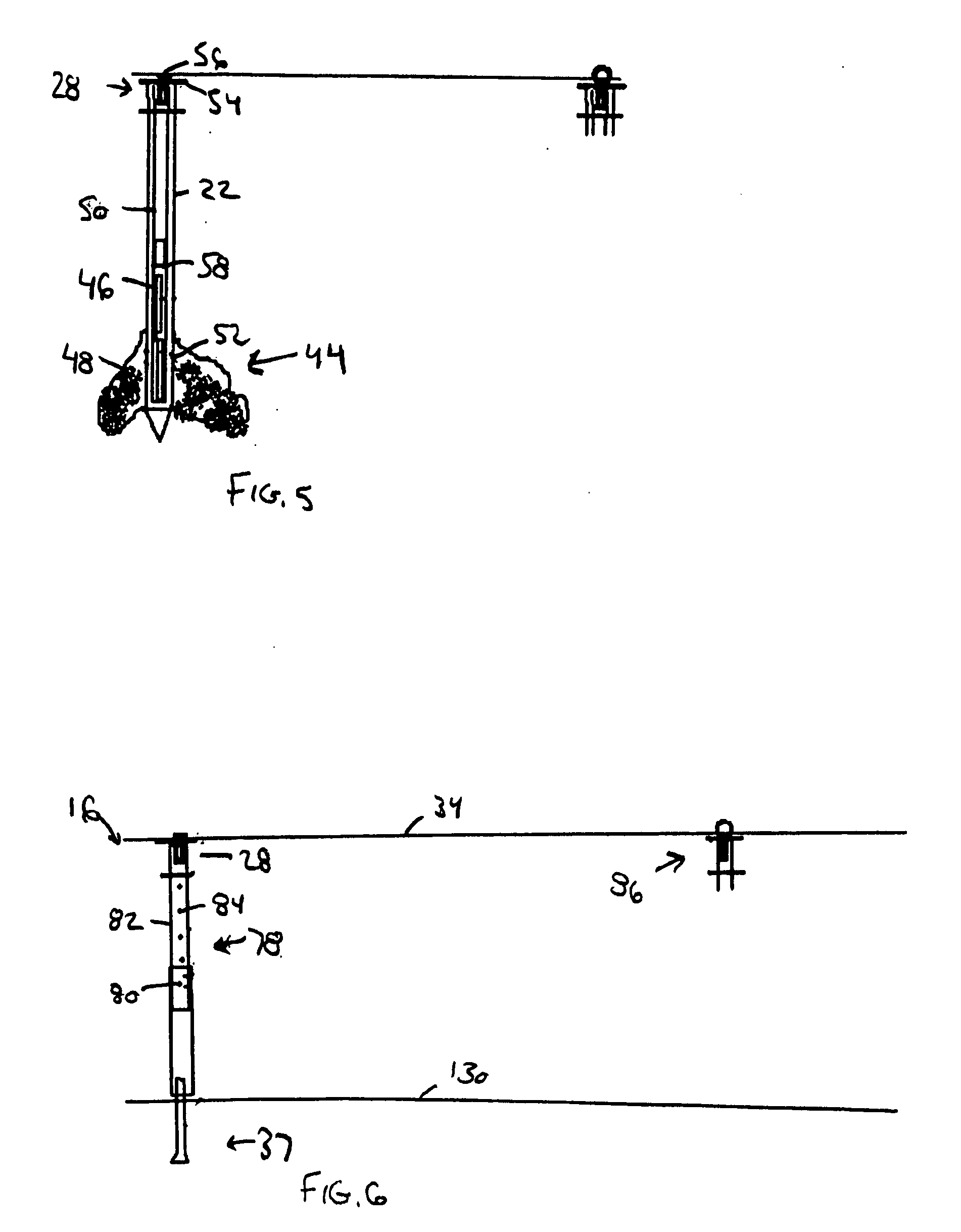 Tree anchor apparatus and method