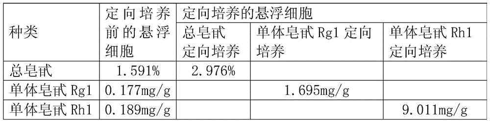 A suspension culture method for producing American ginseng saponins