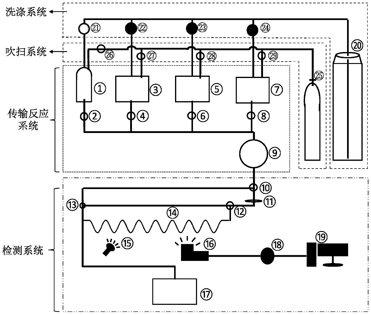 Active oxygen content automatic detection system suitable for cell microenvironment