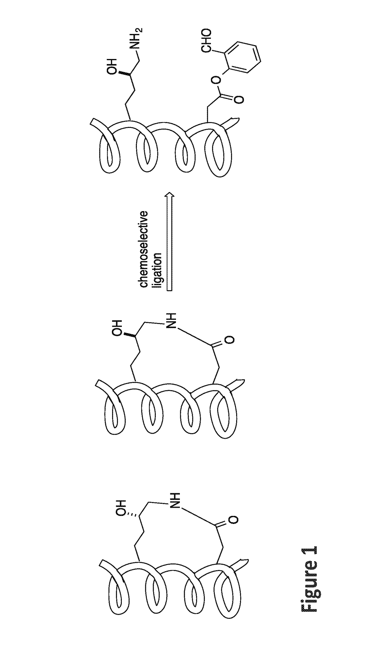 Stapled helical peptides and methods of synthesis