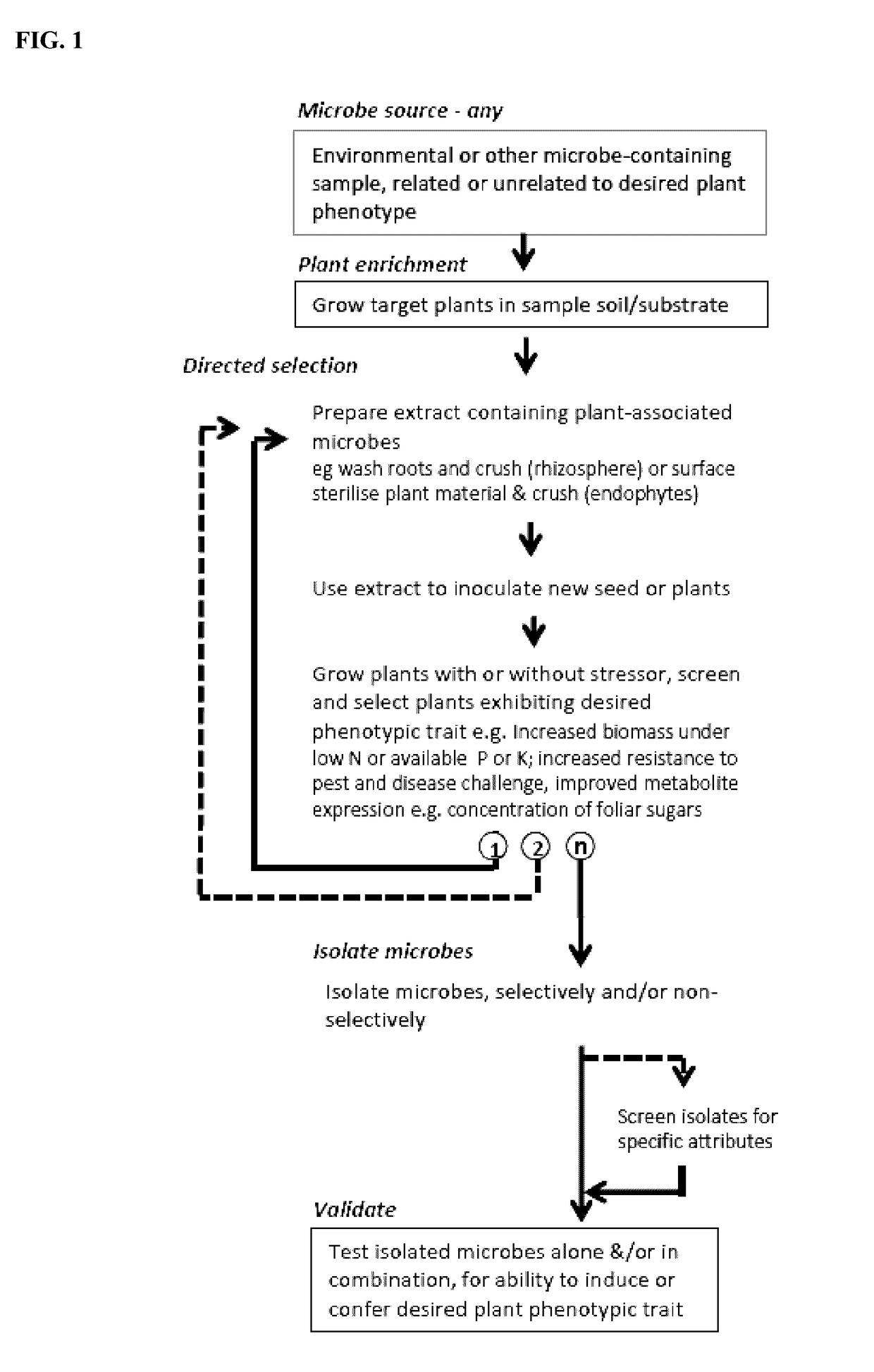 Integrated plant breeding methods for complementary pairings of plants and microbial consortia