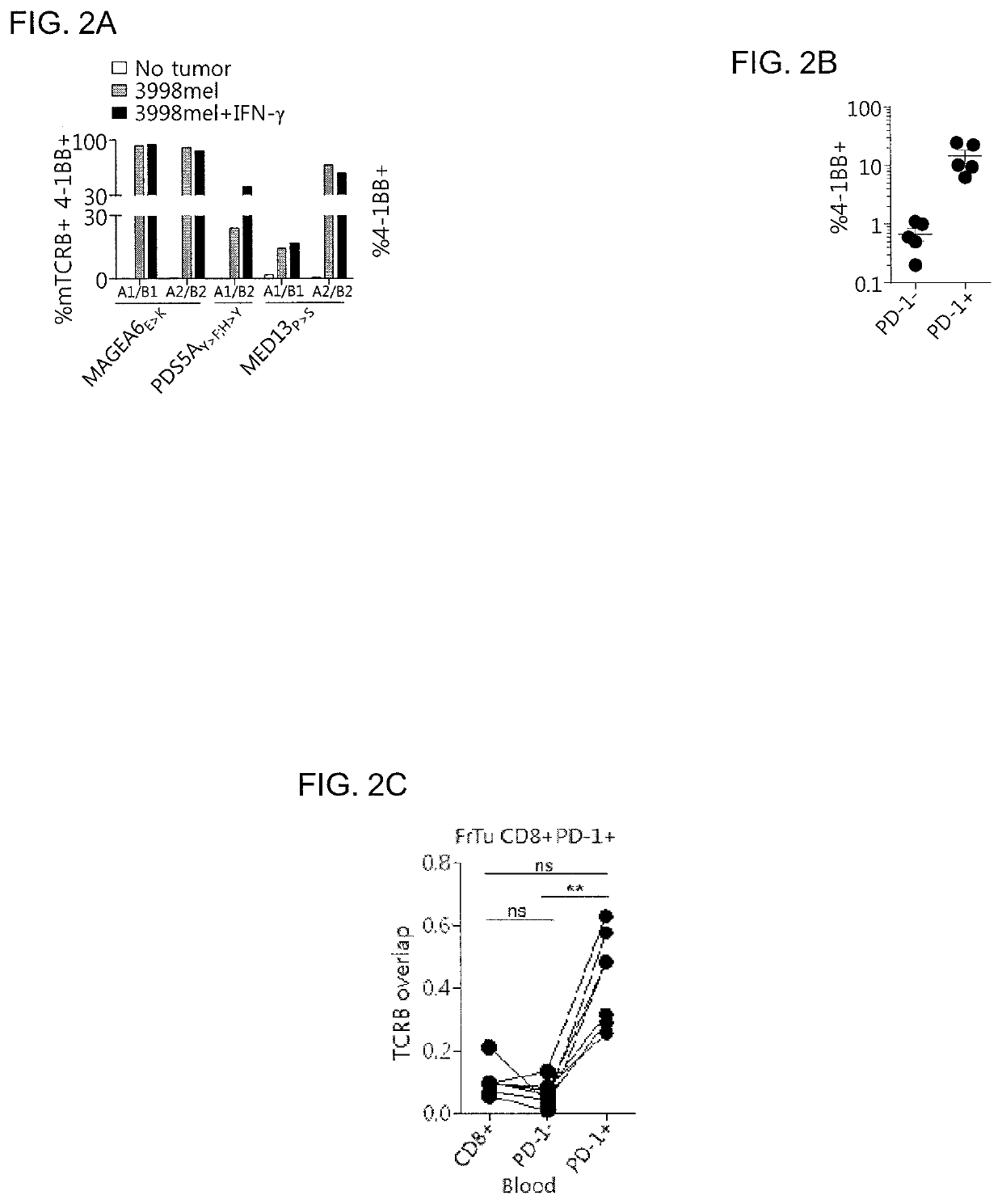 Methods of isolating T cells and T cell receptors having antigenic specificity for a cancer-specific mutation from peripheral blood