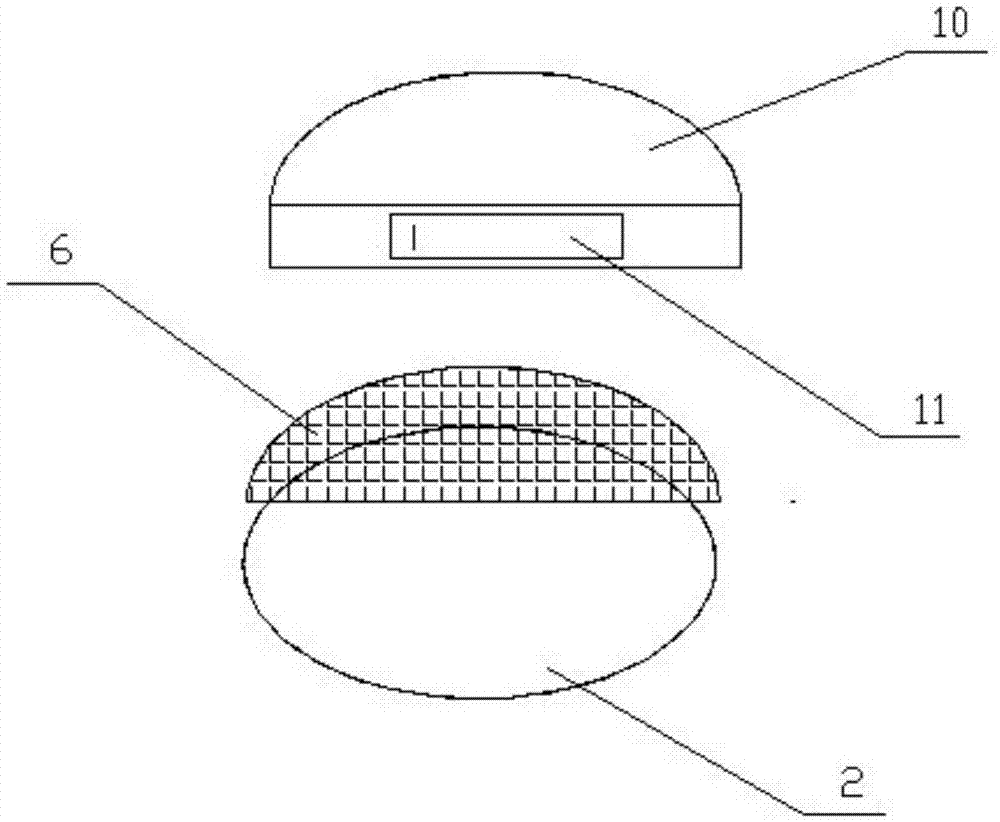 Temperature-controlled food frying device