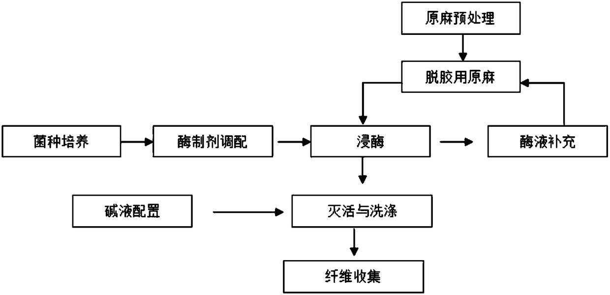 Enzyme preparation that can be used for degumming of hemp and its bast degumming process of hemp