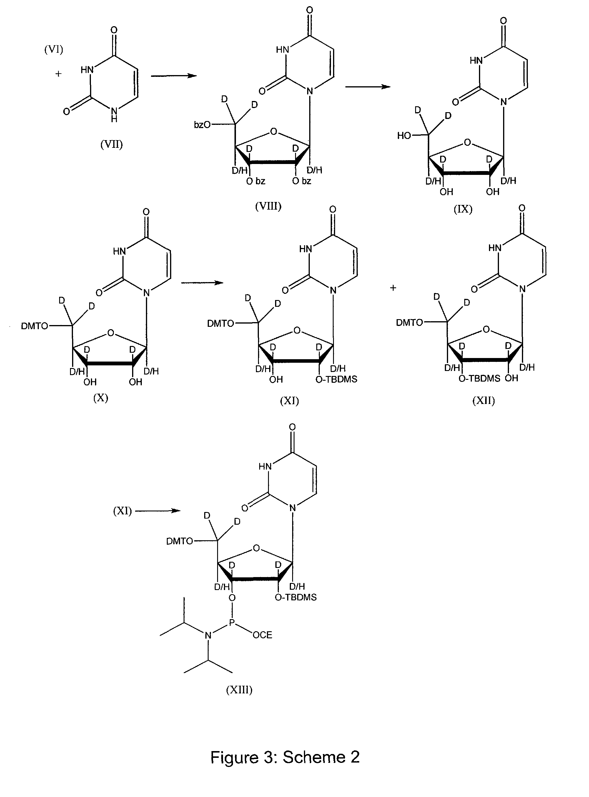 Synthesis of deuterated ribo nucleosides N-protected phosphoramidites, and oligonucleotides