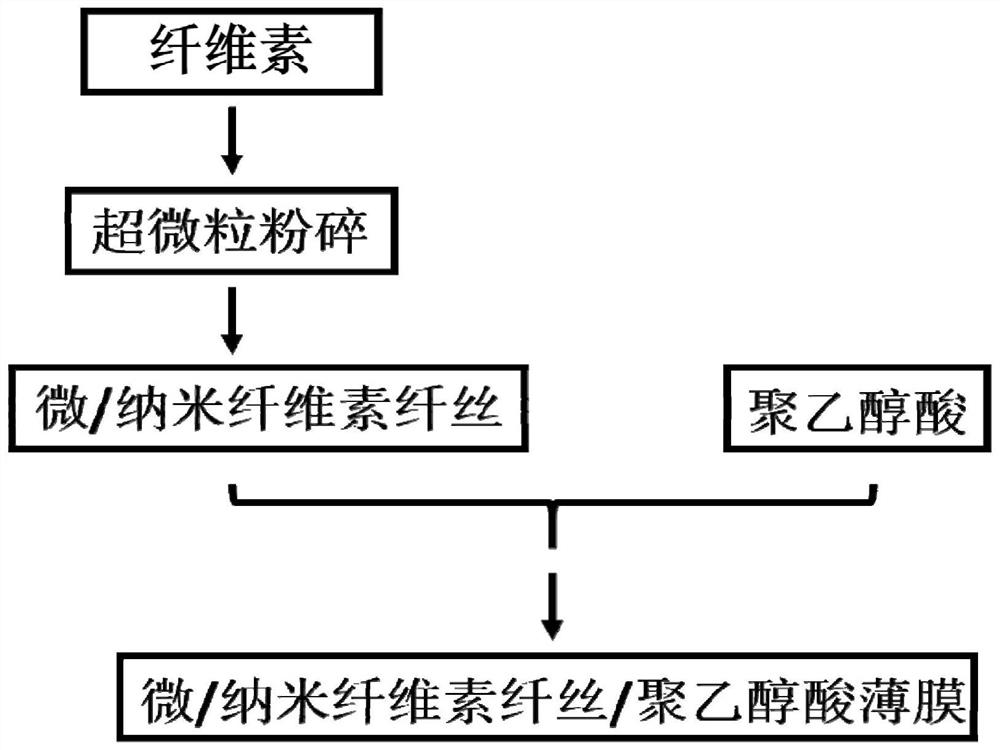 Micro/nano cellulose fibril/polyglycolic acid film as well as preparation method and application thereof