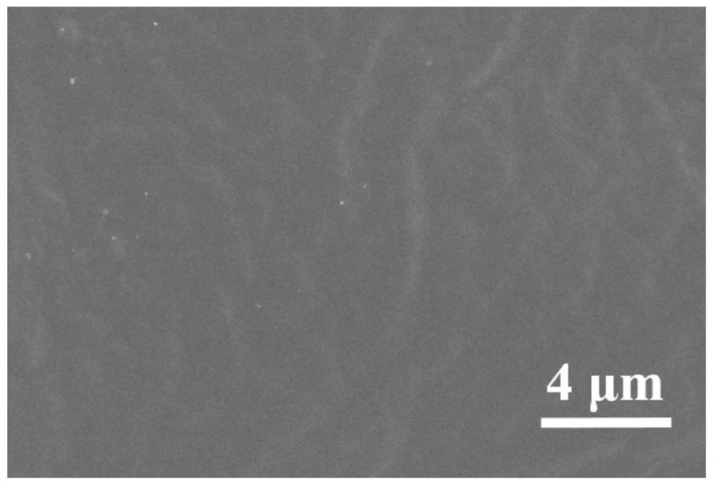 Micro/nano cellulose fibril/polyglycolic acid film as well as preparation method and application thereof