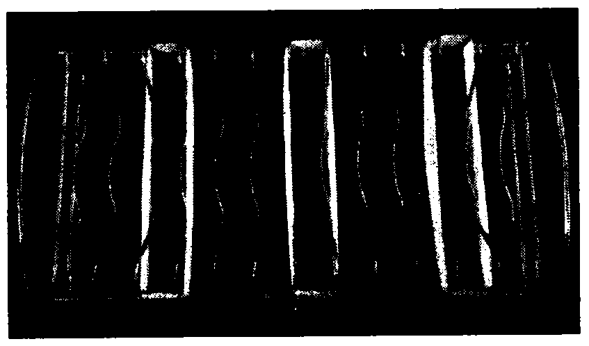 Industrial test method for the elasticity of ptt/pet self-crimping yarn