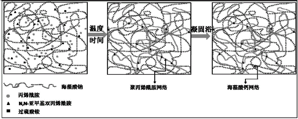 Double network reinforced calcium alginate fiber and its preparation method