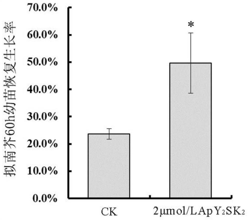 y2sk2 dehydrin that reduces cell stress damage and improves cryopreservation effect