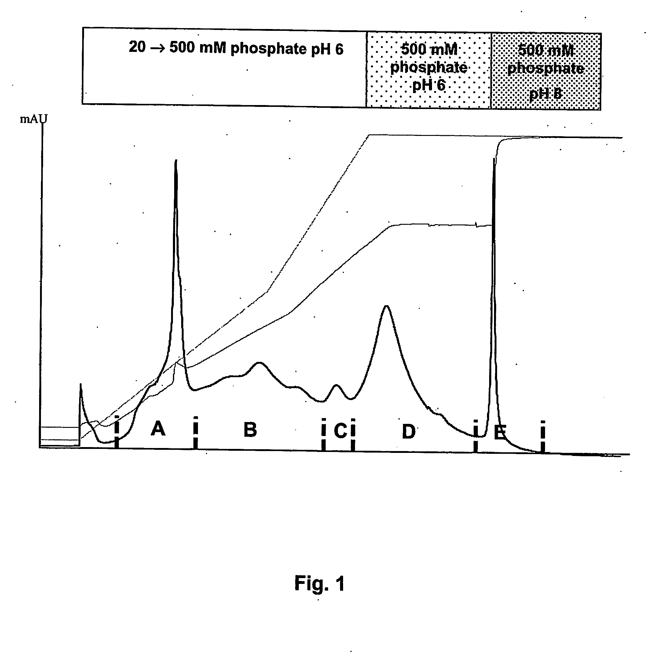 Method for purification of factor vii