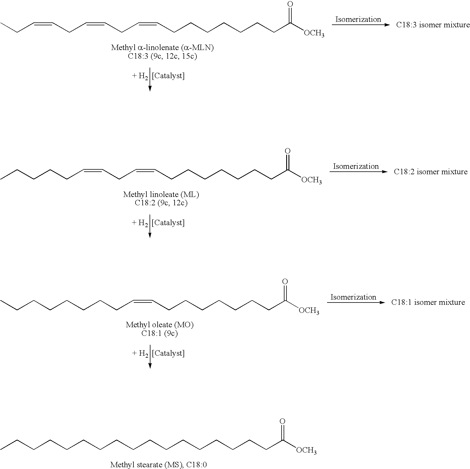 Process for the Manufacture of Saturated Fatty Acid Esters