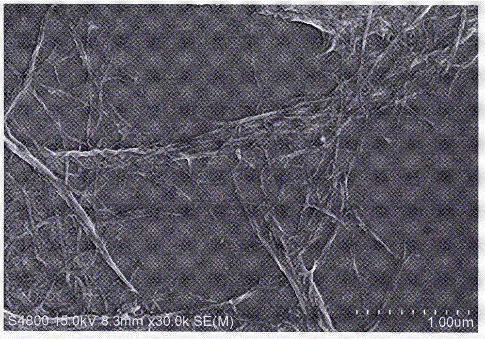 Method for preparing cellulose nano-fibers based on biomass material