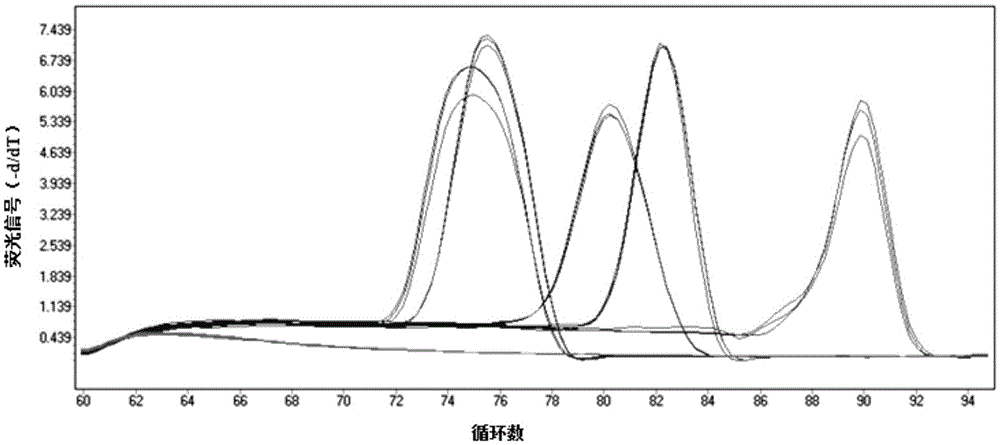 Primer set and method for multiple nested fluorescent quantitative PCR detection of transgenic soybean gts40-3-2 and exogenous genes