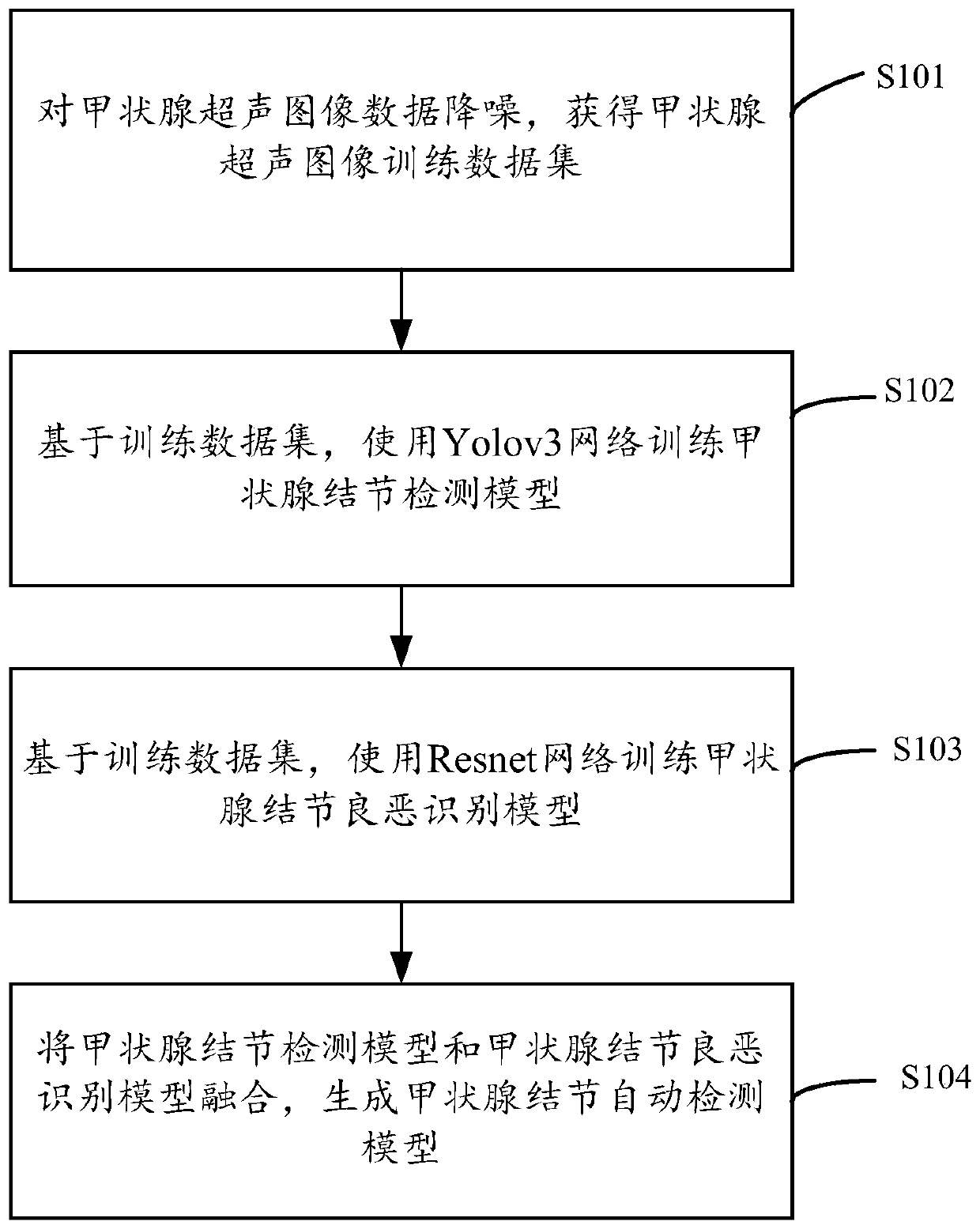 Thyroid nodule automatic detection model construction method, system and device