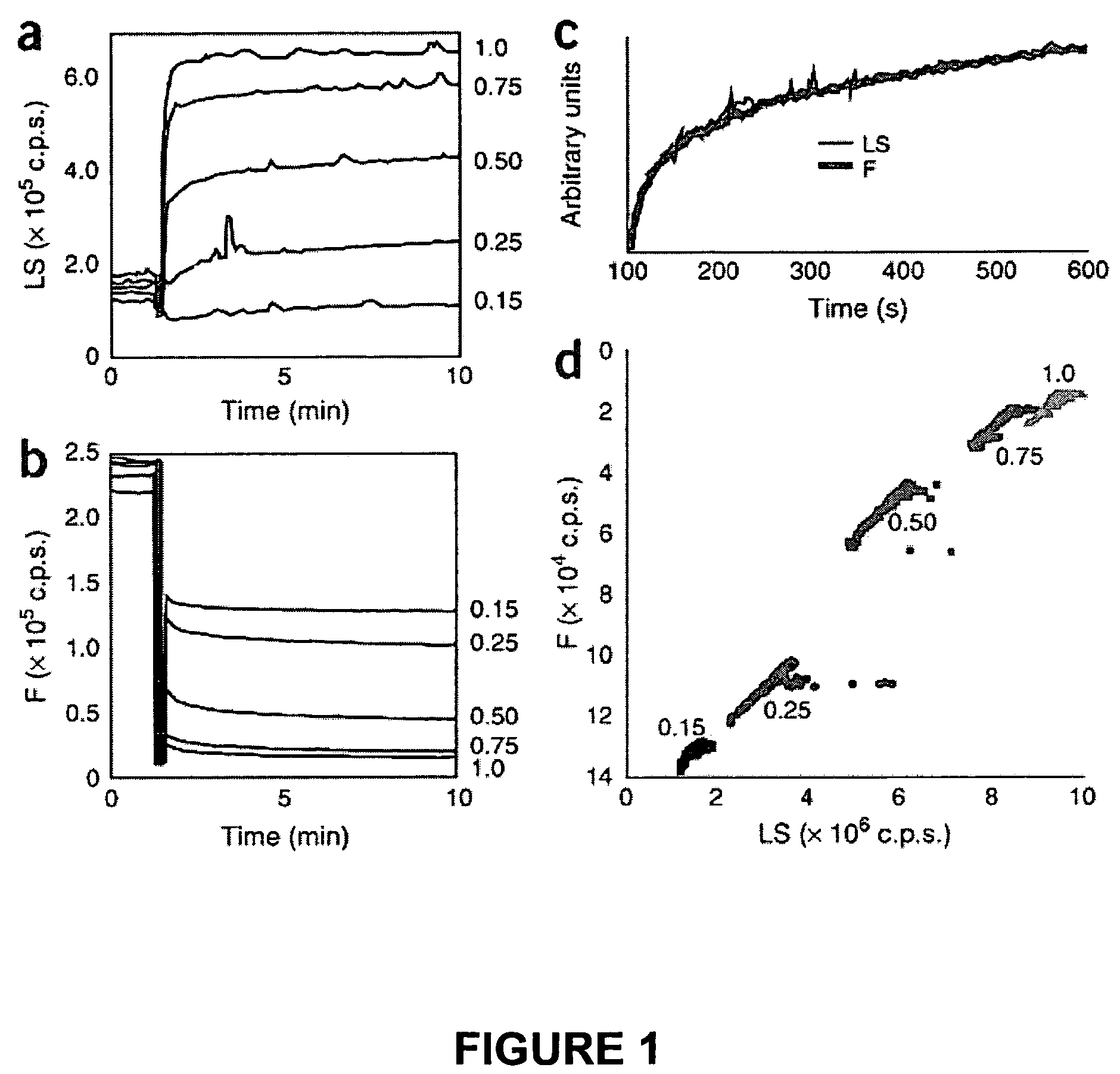 Methods for detecting compounds that interfere with protein aggregation utilizing an in vitro fluorescence-based assay