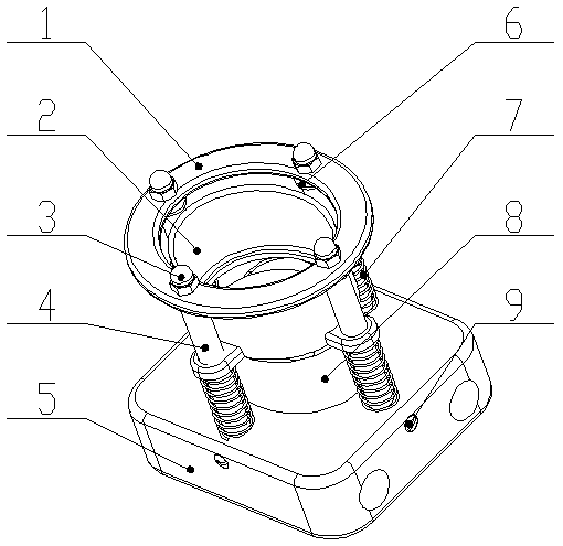 Walnut fixing device suitable for oriented extruding