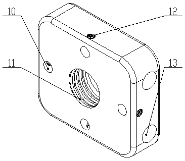 Walnut fixing device suitable for oriented extruding